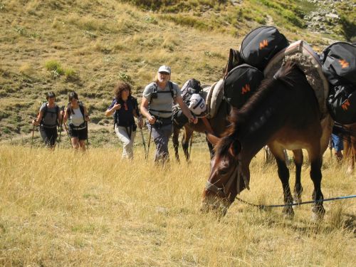 trekking con i muli-21.JPG